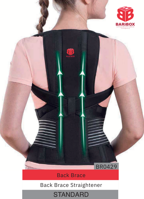 Back Brace br0429 Standard