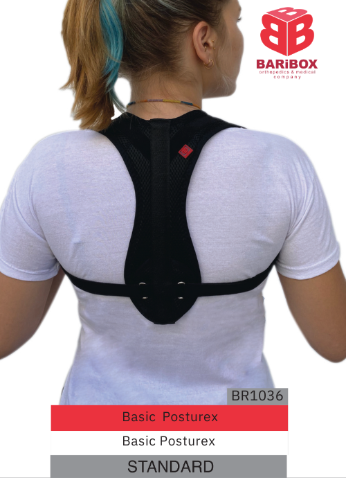 Basic Posturex br1036 Standard